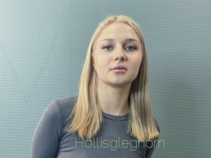 Hollisgleghorn