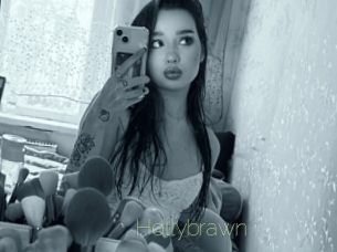 Hollybrawn