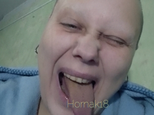 Hornak18
