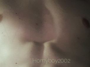 Hornyboy2002