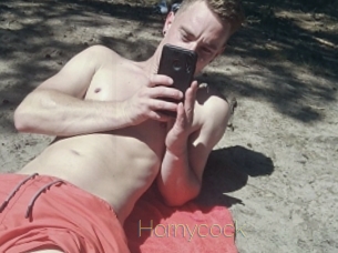 hornycock Visio Tchats