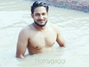 Hornygaggi