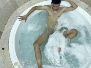Hornywildboy