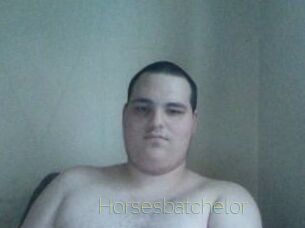 Horsesbatchelor