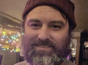 Hudsoncane