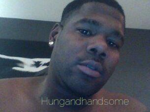 Hungandhandsome
