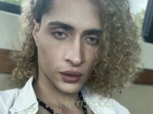 Hybridepool