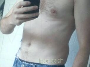 Igor_bash