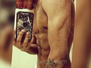 Iiwilddream