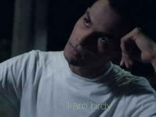 Ikaro_birdy