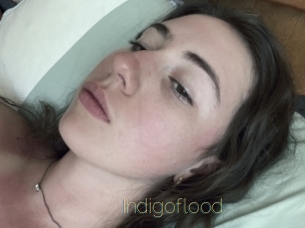 indigoflood Visio Tchats