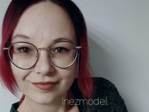 Inezmodel