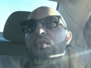 Italianbullnyc