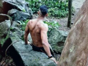 JAK_BROWNN
