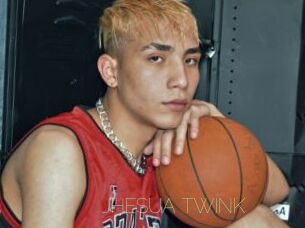 JHESUA_TWINK