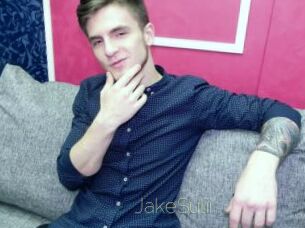 JakeSulii