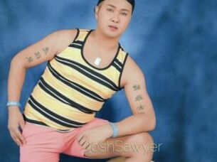 JoshSawyer Visio Tchats
