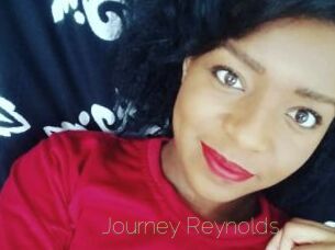 Journey_Reynolds Visio Tchats