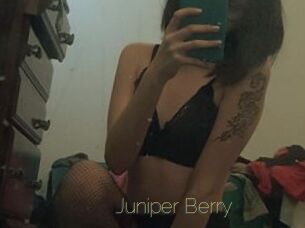 Juniper_Berry