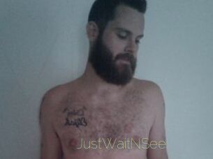 JustWaitNSee Visio Tchats