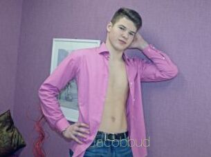 Jacobbud