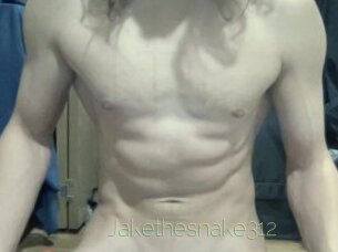 Jakethesnake312