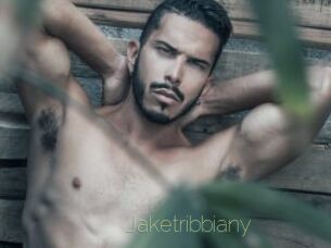 jaketribbiany Visio Tchats