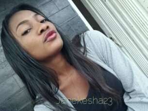 janekesha23 Visio Tchats