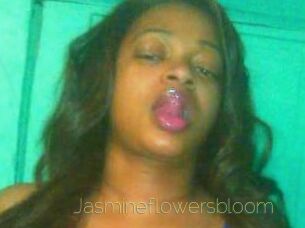 Jasmineflowersbloom