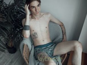 Jaybreeze