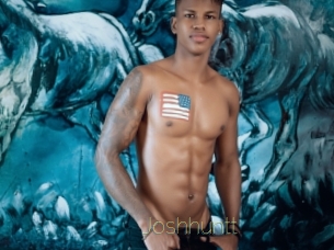 joshhuntt Visio Tchats