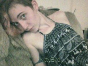 KittyBird