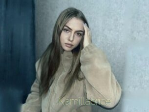 Kamillabrice