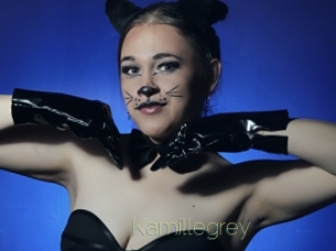 Kamillegrey