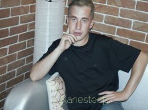 Kanesteep