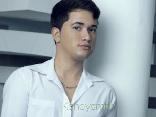 kaneysmith Visio Tchats