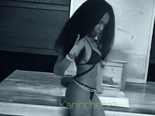 Kaninchen23