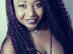 Kannel_passie