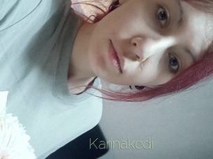 Karinakodi