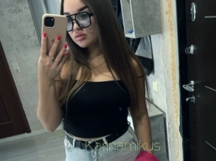 Karinamikus