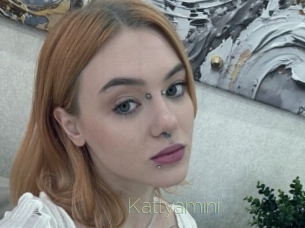 Kattyamini