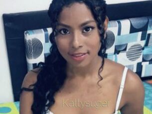 Kattysuger