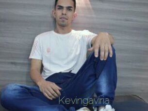 Kevingaviria