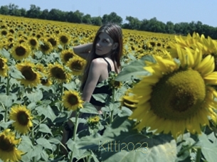 Kitti2023