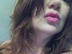 Kittymate