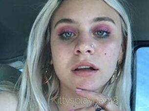 Kittysplaypen18