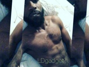 LDgadget