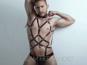 LIAM_HERNANDEZ Visio Tchats
