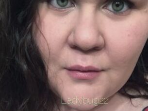 Ladybug22