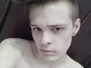 LapkinGray